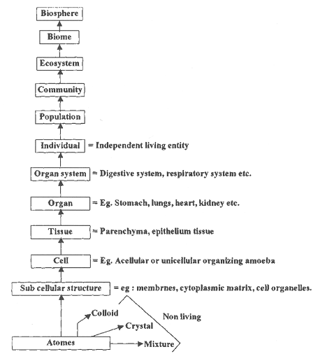 1606_understanding life.png